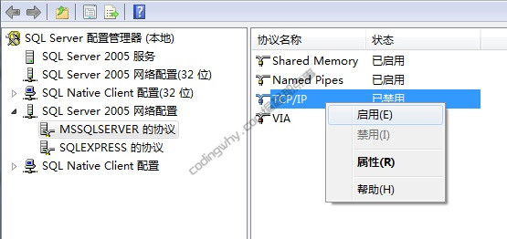 启用“TCP/IP”
