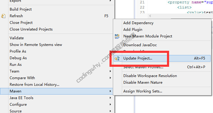 Update Project选项