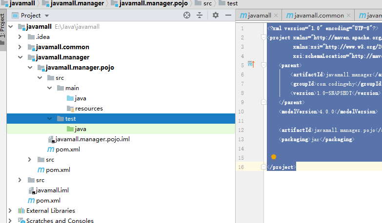 javamall.manager.pojo新建成功
